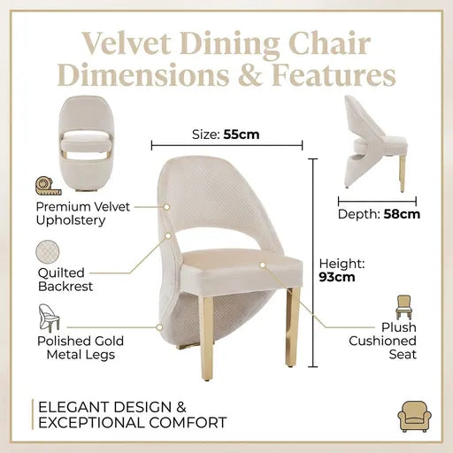 A product infographic for a velvet dining chair showing dimensions and features. The main chair is shown in the center with callouts indicating size 55cm width, depth 58cm, and height 93cm.