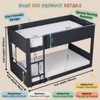 Bunk bed with dimensions and features highlighted on a beige background