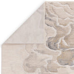 Close-up of a textured area rug with neutral colors on a white background