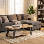  styled with a light wood coffee table, neutral throw blanket, and a potted fiddle-leaf fig plant.