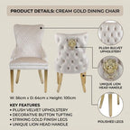 Product details infographic for a cream gold dining chair, showing two views of the chair with callouts for plush velvet upholstery, tufted back, lion head handle, and polished legs, plus dimensions and key features on a beige background.